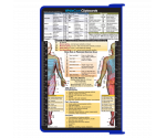 WhiteCoat Clipboard® - Blue Physical Therapy Edition